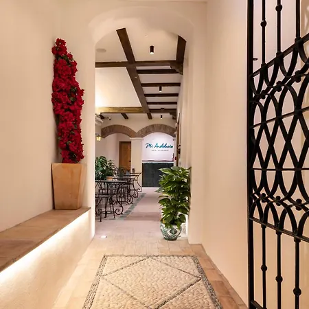 Mi Andalusia Hotel Experience-2